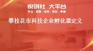 攀枝花市科技企業(yè)孵化器定義獎補政策