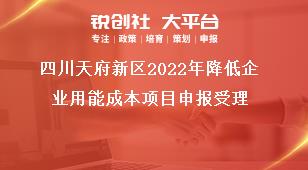 四川天府新區(qū)2022年降低企業(yè)用能成本項目申報受理獎補政策