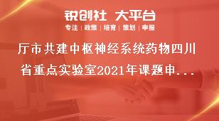 廳市共建中樞神經系統藥物四川省重點實驗室2021年課題申請時間及資助政策獎補政策