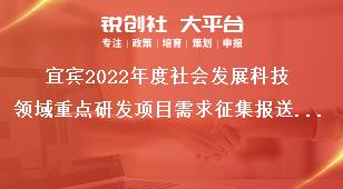 宜賓2022年度社會發(fā)展科技領(lǐng)域重點(diǎn)研發(fā)項(xiàng)目需求征集報(bào)送要求獎(jiǎng)補(bǔ)政策